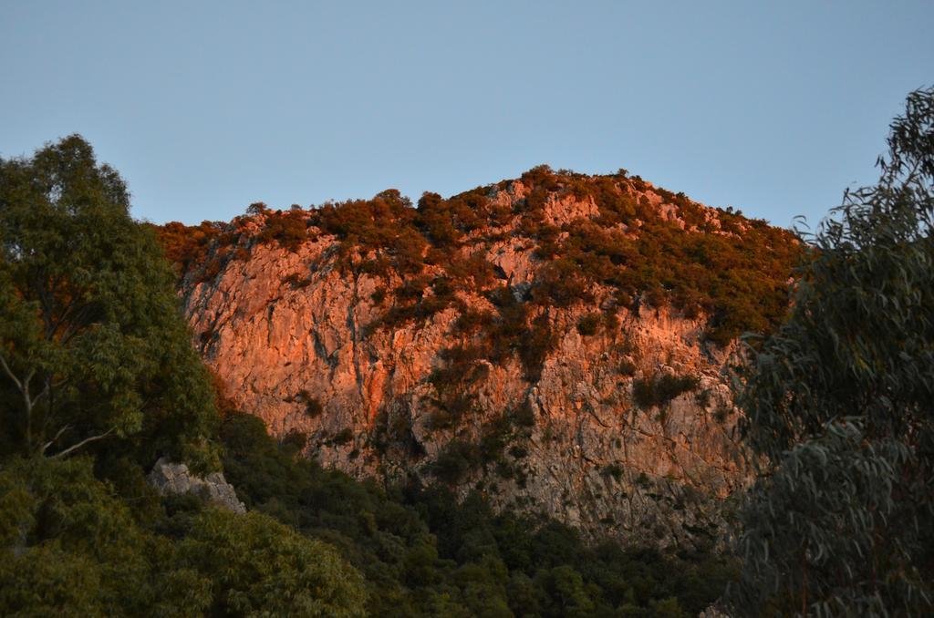 Casa Rural El Vihuelo Otel El Bosque Dış mekan fotoğraf